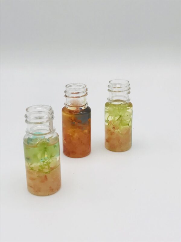 Enchanted Botanical Essential Oil Vial Set - Image 2
